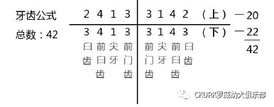 图片 9.jpg